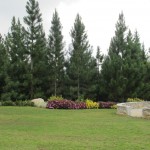 Caribbean Pines Camp2